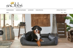 Schermafbeelding-2020-02-08-om-08.16.43