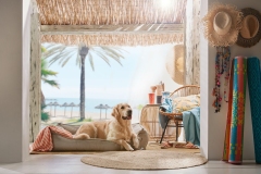 Schermafbeelding-2020-03-18-om-00.15.38